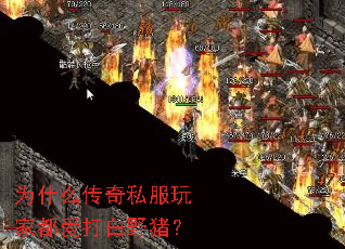 Ϊʲô˽ҶҰ