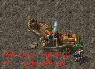 б䴫漫Ʒװ˴֣ʲô;ȡ