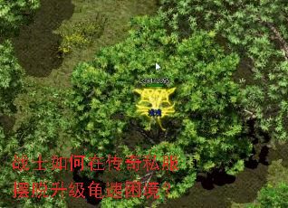 սʿڴ˽