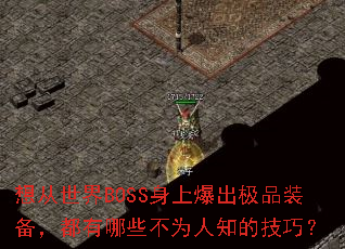 BOSSϱƷװЩΪ֪ļɣ