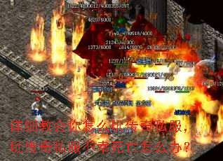 ϸ̻ô洫˽洫˽ô죿