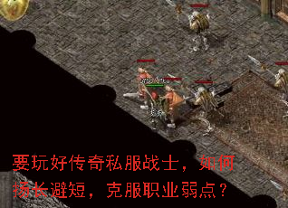 Ҫô˽սʿﳤ̣ܶ˷ְҵ㣿