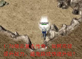 1.76ƷŴ棺θЧսȿӿ