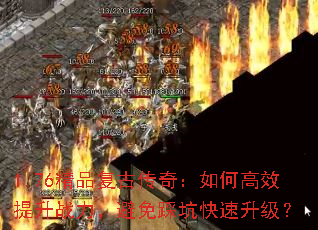 1.76ƷŴ棺θЧսȿӿ