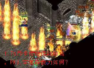 1.76¿սϣPKΣ