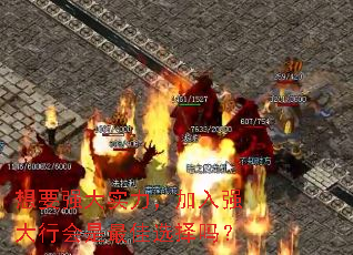 Ҫǿʵǿлѡ