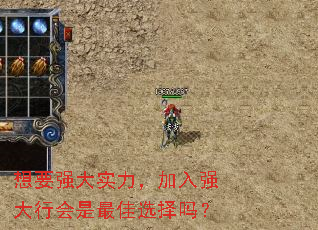 Ҫǿʵǿлѡ