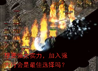 Ҫǿʵǿлѡ