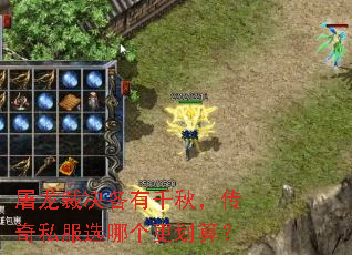 þǧ˽ѡĸ㣿