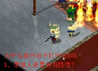 Ϊʲôл᲻лBOSSȱ˻飿