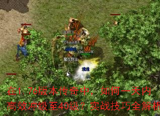 1.76汾УһڸЧ弶40ʵսȫ