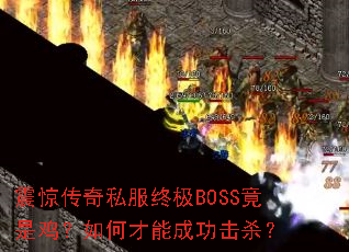 𾪴˽ռBOSSǼβܳɹɱ