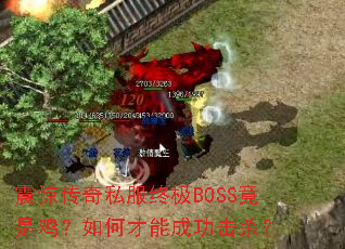 𾪴˽ռBOSSǼβܳɹɱ