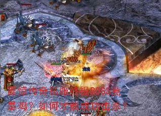 𾪴˽ռBOSSǼβܳɹɱ