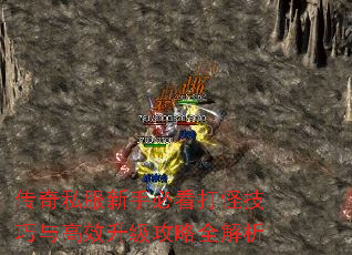 传奇私服新手必看打怪技巧与高效升级攻略全解析 传奇私服新手必看打怪技巧与高效升级攻略全解析