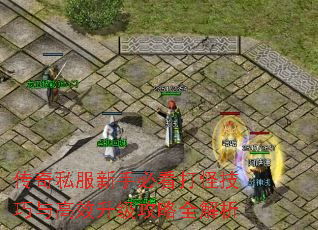 传奇私服新手必看打怪技巧与高效升级攻略全解析 传奇私服新手必看打怪技巧与高效升级攻略全解析