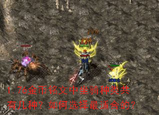1.76金币铭文中坐骑种类共有几种?如何选择最适合的? 1.76金币铭文中坐骑种类共有几种?如何选择最适合的?