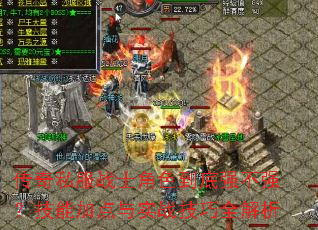 传奇私服战士角色到底强不强?技能加点与实战技巧全解析 传奇私服战士角色到底强不强?技能加点与实战技巧全解析