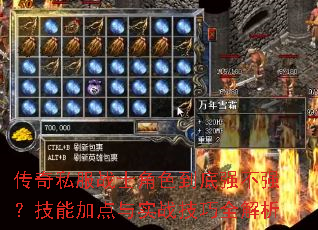 传奇私服战士角色到底强不强?技能加点与实战技巧全解析 传奇私服战士角色到底强不强?技能加点与实战技巧全解析