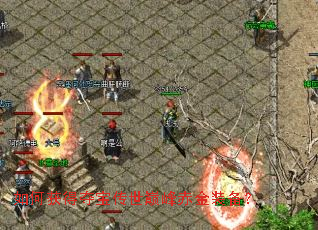 如何获得夺宝传世巅峰赤金装备? 如何获得夺宝传世巅峰赤金装备?