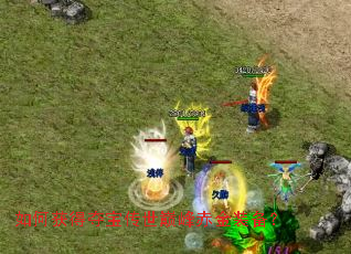 如何获得夺宝传世巅峰赤金装备? 如何获得夺宝传世巅峰赤金装备?