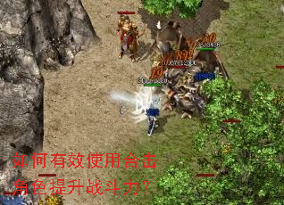 如何有效使用合击角色提升战斗力? 如何有效使用合击角色提升战斗力?