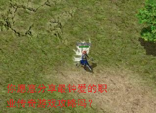 你愿意分享最钟爱的职业传奇游戏攻略吗? 你愿意分享最钟爱的职业传奇游戏攻略吗?