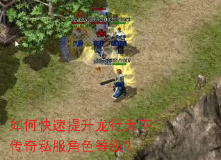 如何快速提升龙行天下传奇私服角色等级? 如何快速提升龙行天下传奇私服角色等级?