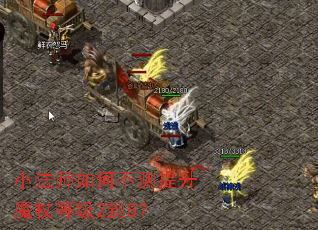 小法师如何不测提升魔杖等级2到8? 小法师如何不测提升魔杖等级2到8?