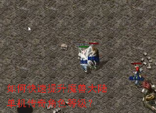 如何快速提升魔兽大陆单机传奇角色等级? 如何快速提升魔兽大陆单机传奇角色等级?