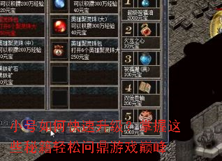 小号如何快速升级?掌握这些秘籍轻松问鼎游戏巅峰 小号如何快速升级?掌握这些秘籍轻松问鼎游戏巅峰