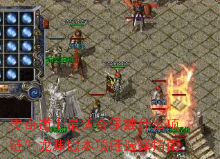 �����ʿ���ʺ����ʲô��������Ԩ�汾����ѡ��ָ��