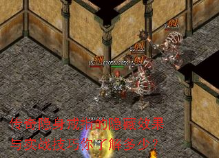 ����������ָ������Ч����ʵս�������˽���٣�