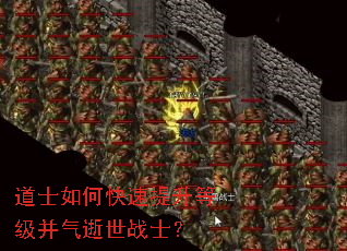 ��ʿ��ο��������ȼ���������սʿ��