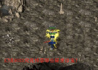 �þ�BOSS����������Щϡ���䱦��