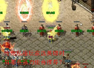 ����˽�����ѡӢ��ʱ����Щǿ������Ƽ���