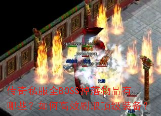 ����˽��ȫBOSS������Ʒ����Щ����θ�Чˢȡ����װ����