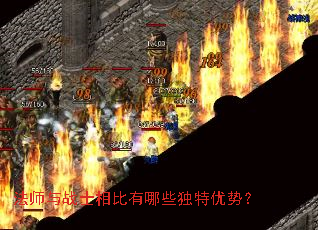 ��ʦ��սʿ�������Щ�������ƣ�