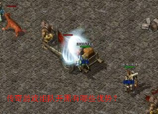 ������Ϸ��ӿ�������Щ���ƣ�