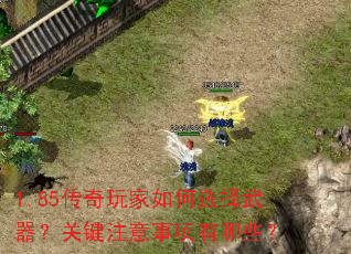 1.85����������ѡ���������ؼ�ע����������Щ��