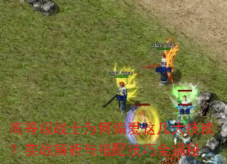 �ߵȼ�սʿΪ��ƫ���⼸���ܣ�ʵս��������似��ȫ����