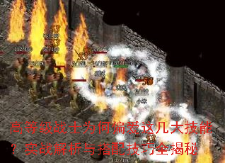 �ߵȼ�սʿΪ��ƫ���⼸���ܣ�ʵս��������似��ȫ����