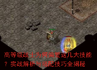 �ߵȼ�սʿΪ��ƫ���⼸���ܣ�ʵս��������似��ȫ����