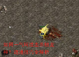 ���һ���ǳɻ�ɱ��������ͨ����ȫ����