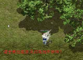 道士新技能圣灵召唤如何获得? 道士新技能圣灵召唤如何获得?