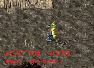 ħ�������ǽ����γ�Ϊ���淨ʦ���ռ����ԣ�