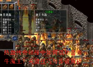 ��Ѫ����˽������γɹ���ɱţħ�����ؼ������벽�����