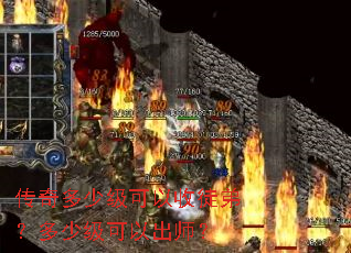 ������ټ�������ͽ�ܣ����ټ����Գ�ʦ��