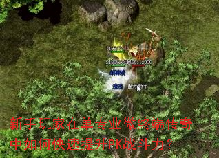 ��������ڵ�רҵ΢�ն˴�������ο�������PKս������