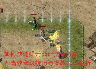 ��ο�������cqsf��ɫ�ȼ�����Ч����������ʵս��������